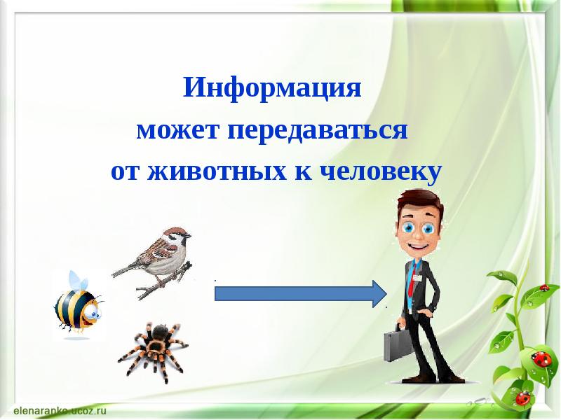 Информация способна. Информация в живой природе. Передача информации животными. Носители информации в живой природе Информатика. Информатика в природе презентация.