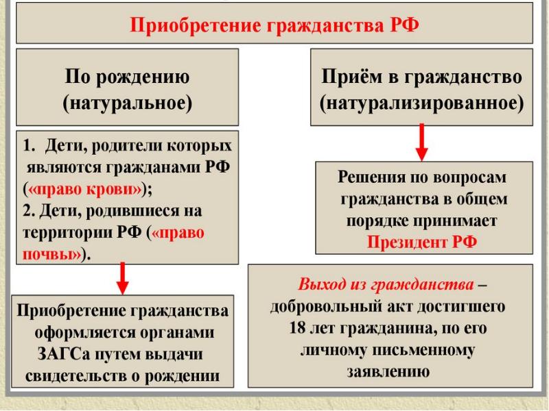 Категории лиц являющихся гражданами российской федерации презентация