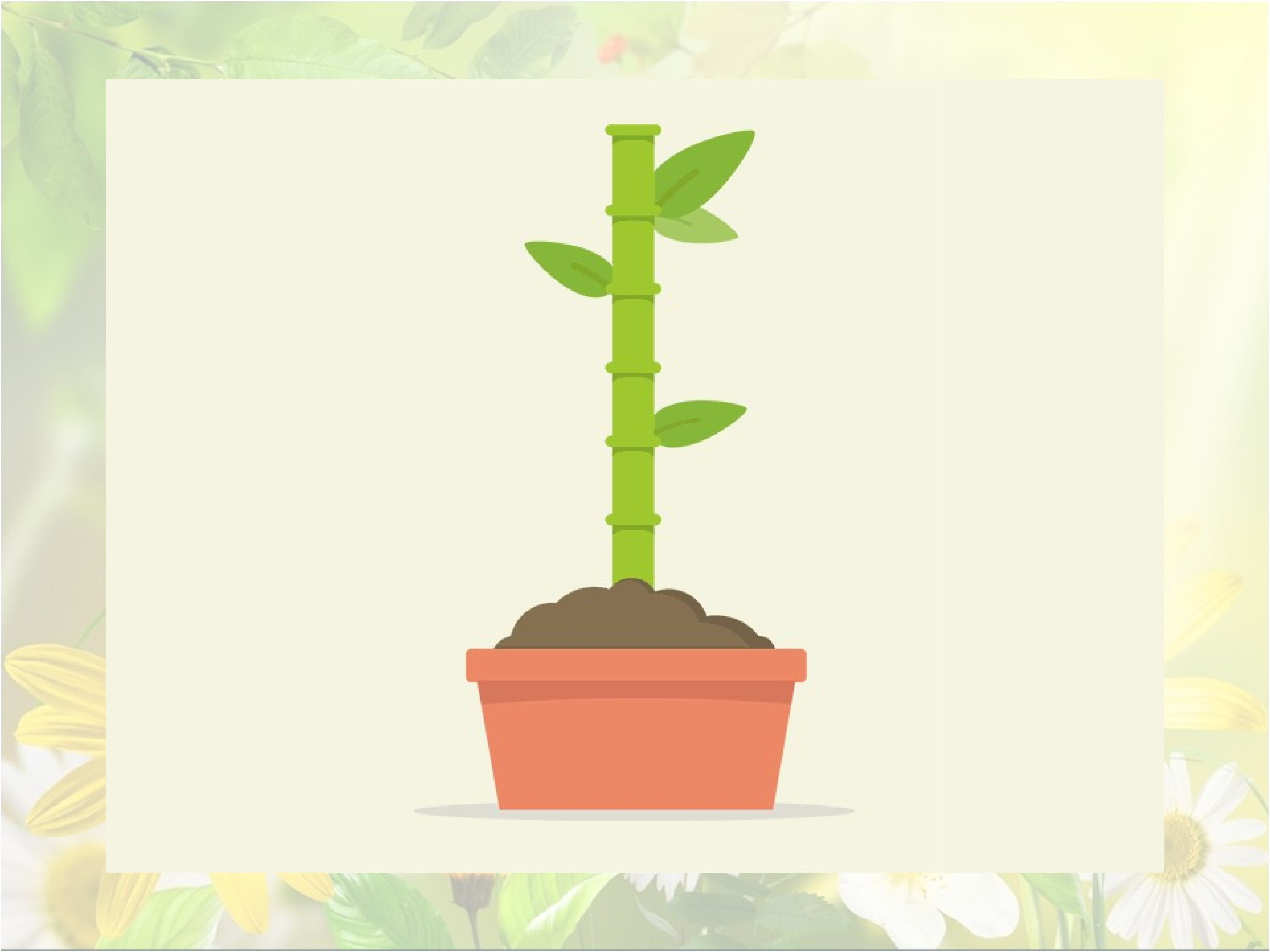 Растение растет гиф