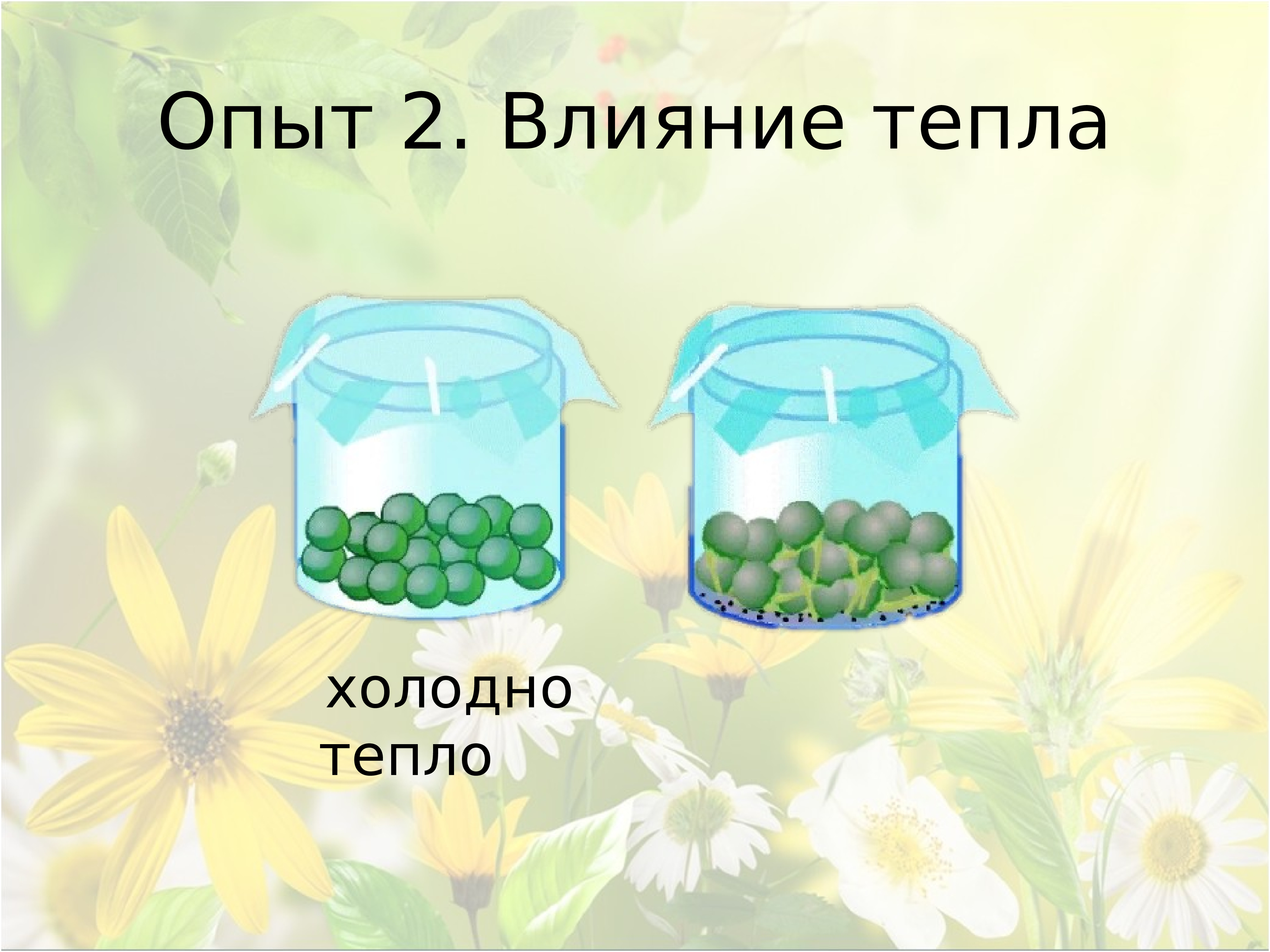 Влияние света на развитие. Презентация рост и развитие растений 2 класс. Условия роста и развития растений 2 класс школа 21. Условия роста и развития растений 2 класс школа 21 века. Условия роста и развития растений 2 класс школа 21 века презентация.