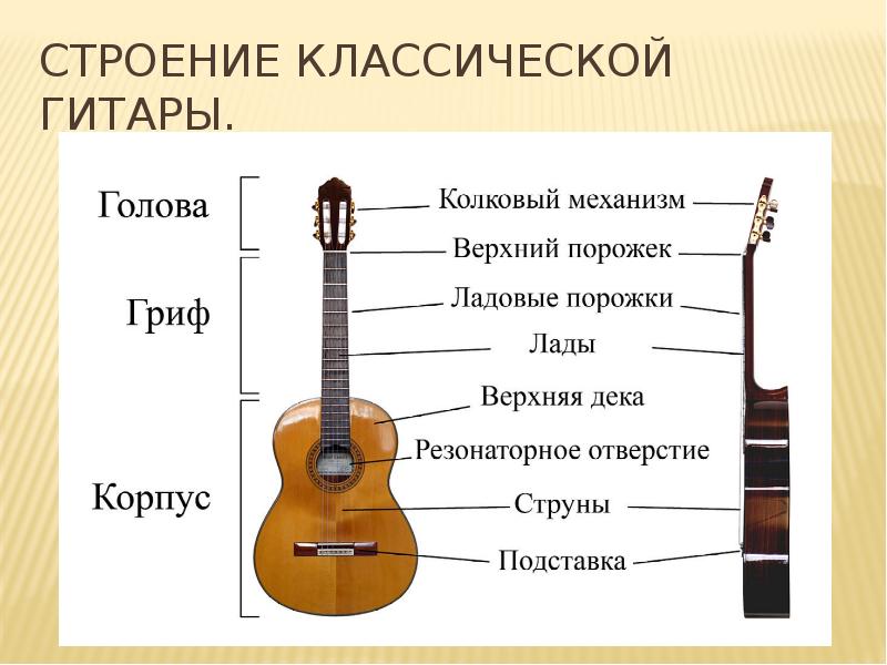 Строение гитары картинка