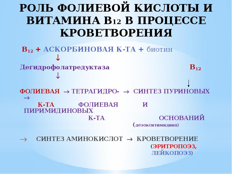 Роль в 12. Роль витамина в12 и фолиевой кислоты. Роль фолиевой кислоты и витамина в12 в процессе кроветворения. Роль витамина в12 и фолиевой кислоты в гемопоэзе. Роль витамина в12 в кроветворении.