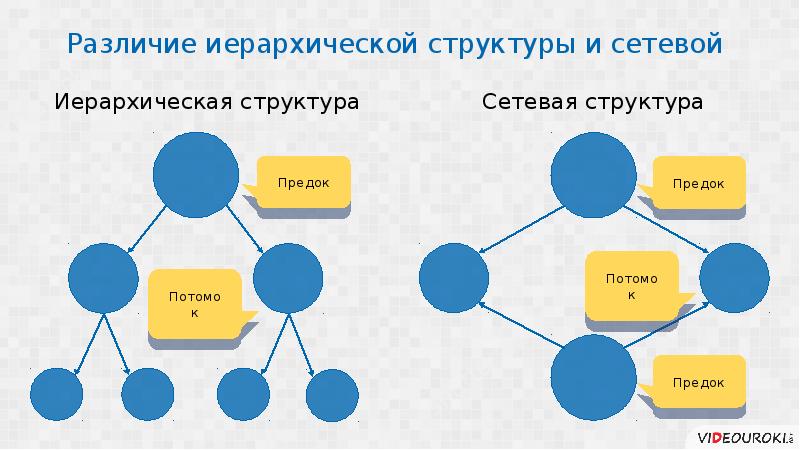 Понятие предков. «Предок — потомок»: сочетне. Сочетание предок потомок. Предки и потомки. Дерево предков и потомков.