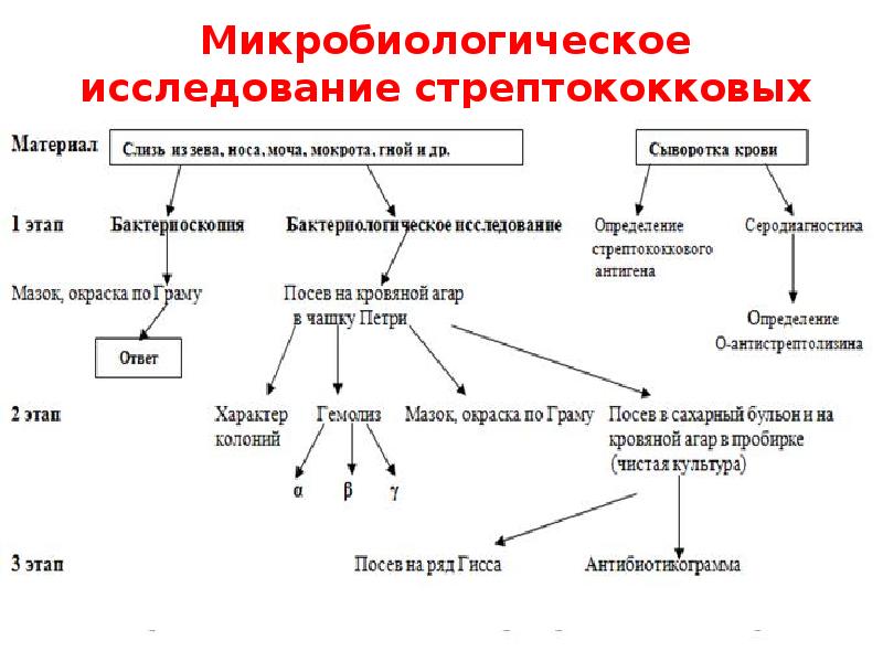 Схема микробиологического исследования