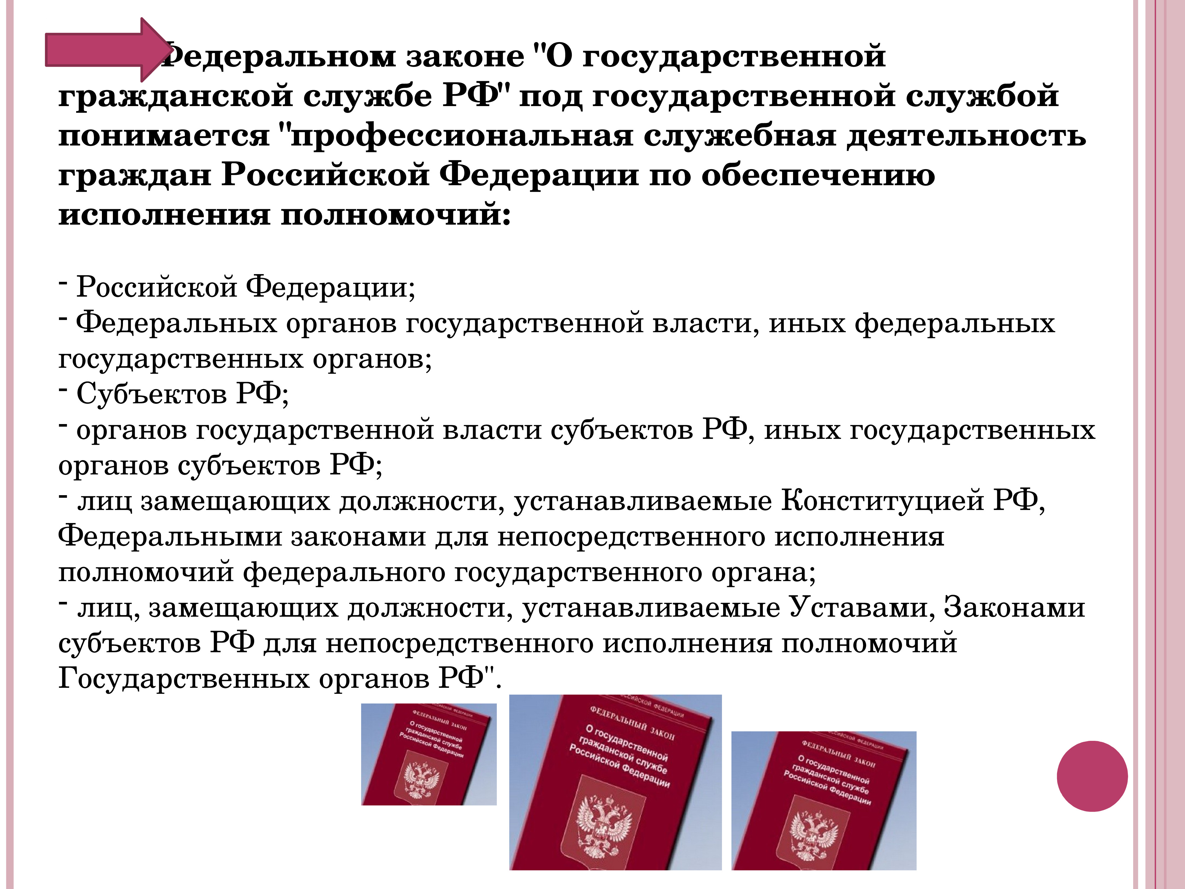 Государственные органы доклад. Государственная служба доклад. Государственная служба курсовая работа. Принципы государственных органов. Что понимается под государственным органом.