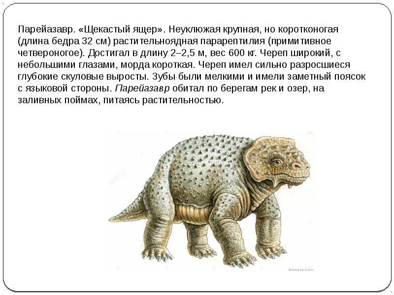 Пермь период презентация