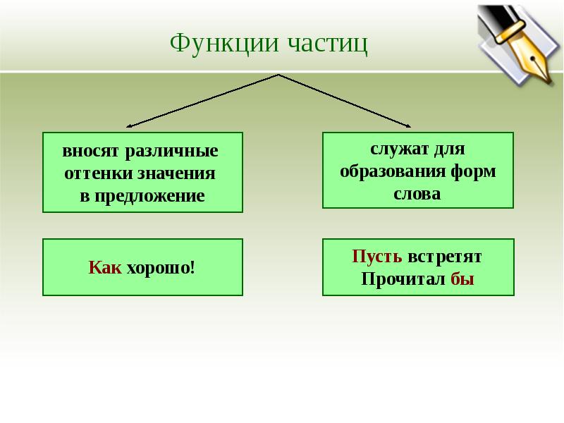 Вид слова прочитав. Функции частиц. Функция частицы в предложении. Частицы и их функции. Функции частиц в русском языке.