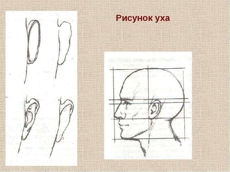 Все народы воспевают старость 4 класс презентация