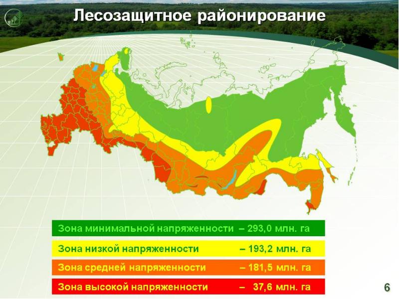 Лесные районы россии карта