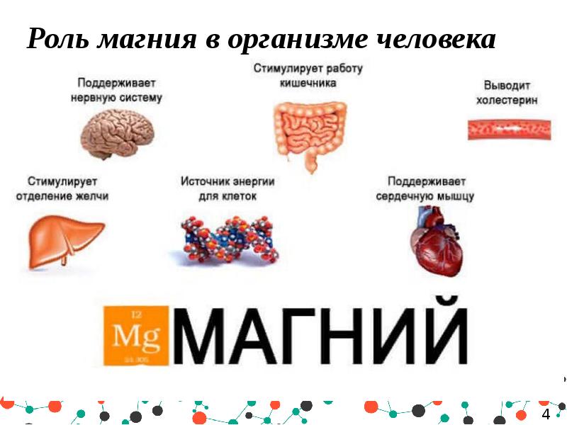 Магний для чего. Функции магния в организме человека. Биологическая роль магния в организме. Магний в теле человека функции. Каким органам нужен магний в организме.