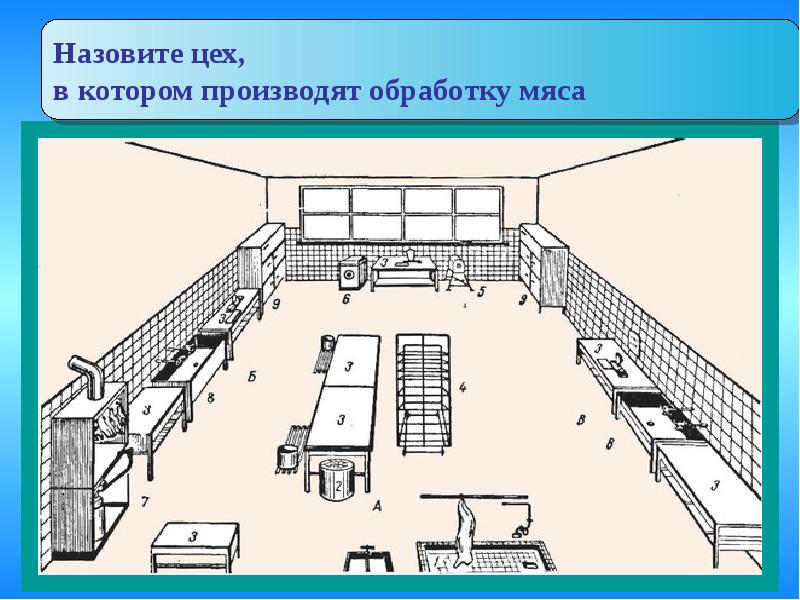 Инструкции мясной цех. Планировка мясного цеха. Схема мясного цеха с расстановкой оборудования. План мясорыбного цеха. Мясо рыбный цех схема.