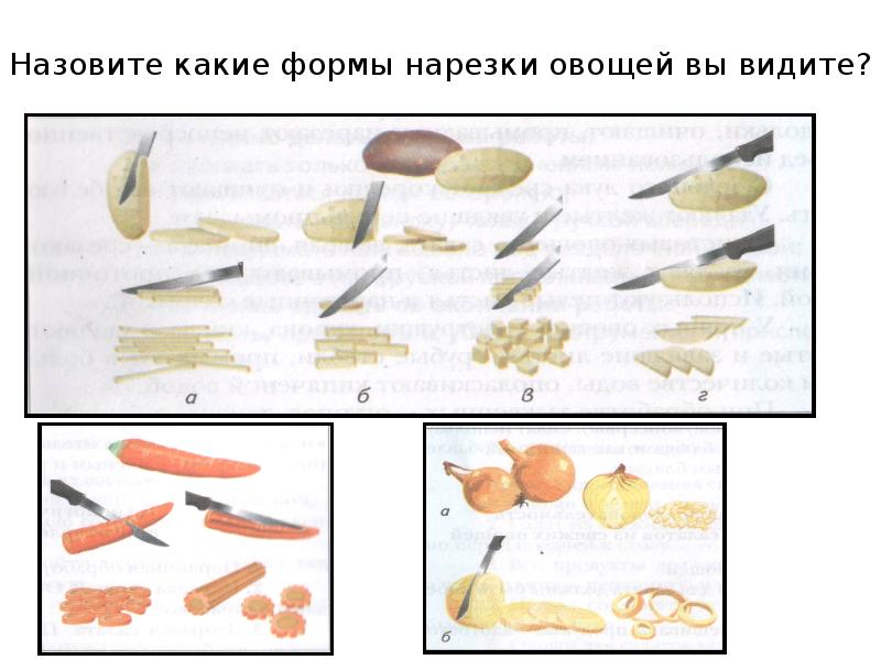 Механическая обработка овощей 5 класс технология презентация