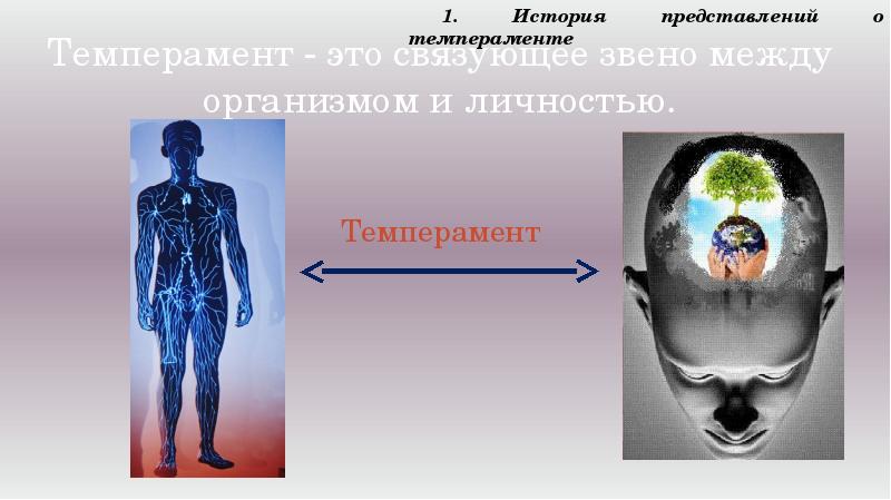 Память эмоции и темперамент презентация 8 класс биология