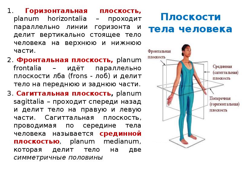 Вертикально стоящий