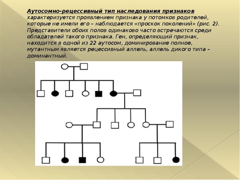 Для аутосомно рецессивного наследования характерно