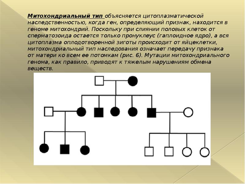 Презентация цитоплазматическая наследственность биология 10 класс