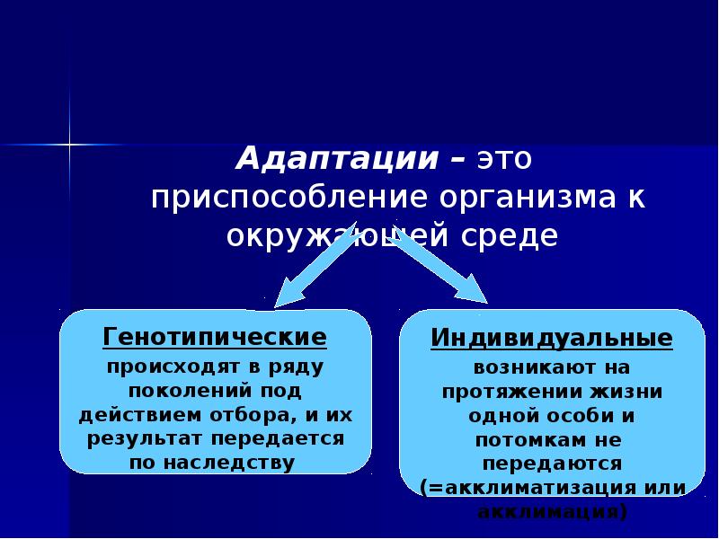 Адаптация человека к окружающей среде презентация