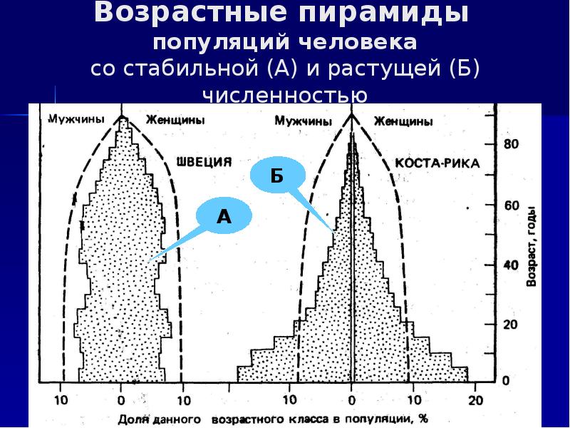 Человеческая популяция. Возрастная пирамида популяции. Погибающая популяция пирамида. Возрастные пирамиды экология. Возрастная пирамида человека.