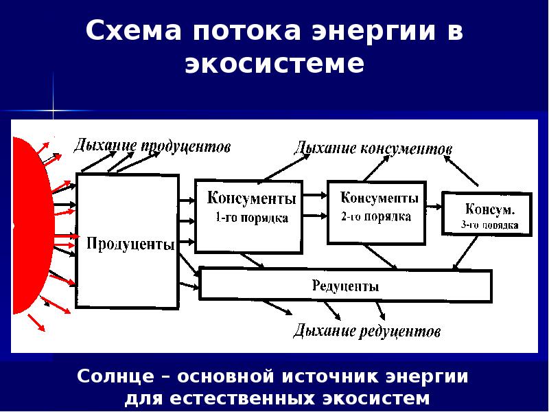 Передача веществ. Поток энергии в экосистеме (по ф. Рамаду, 1981). Схема передачи вещества и энергии в экосистеме. Потоки вещества и энергии в экосистеме схема. Схема переноса вещества и энергии в экосистеме.