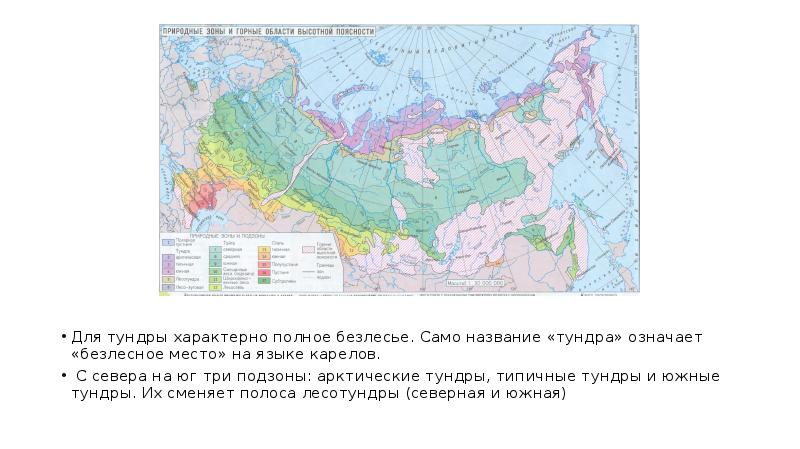 Характеристика лесотундры по плану