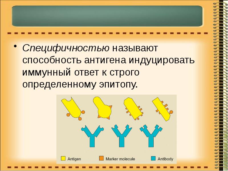 Как называется способность некоторых