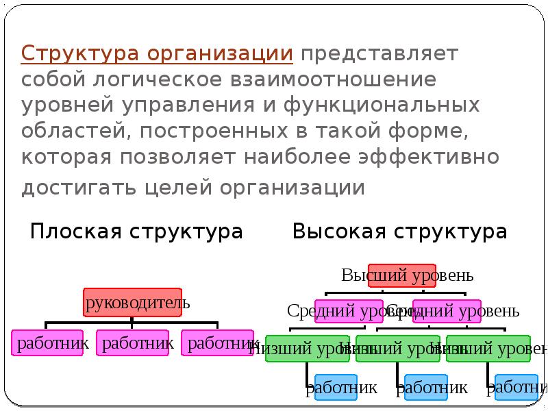 Организовать представлять