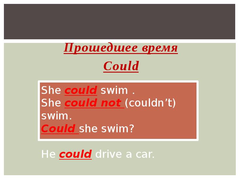 Глагол could couldn t. Модальные глаголы can could. Предложения с can и can't. Глаголы can can't could couldn't. Can в прошедшем времени.