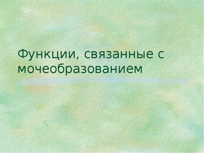 Физиология мочеобразования презентация