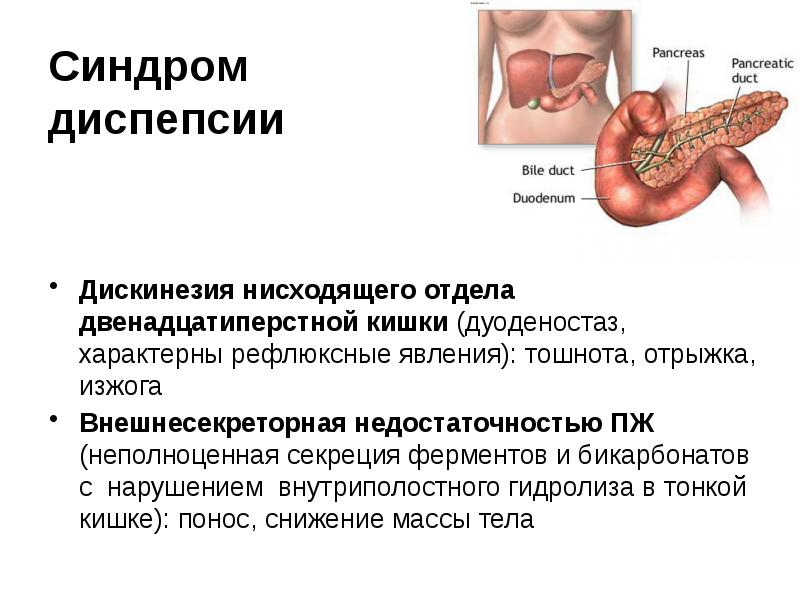 Жидкий стул и поджелудочная железа