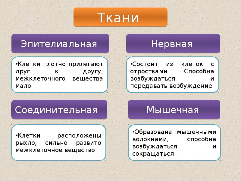 Ткани человека презентация подготовка к егэ