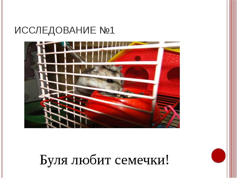 Исследование №1 Исследование №1