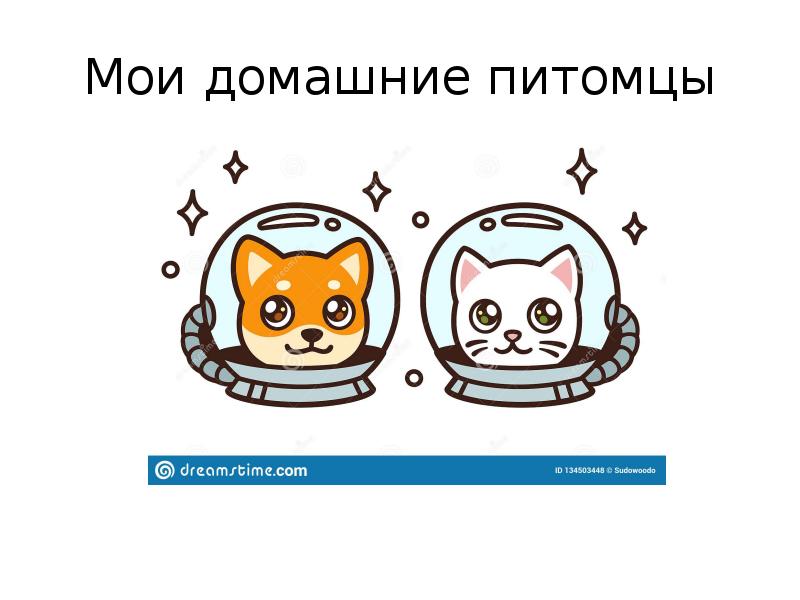 Мои домашние питомцы проект презентация