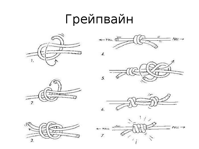 Грейпвайн Грейпвайн