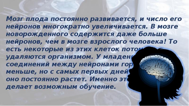 Человеческий мозг интересные факты