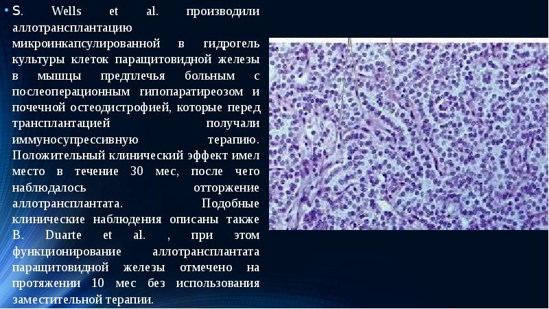 Клеточные технологии презентация