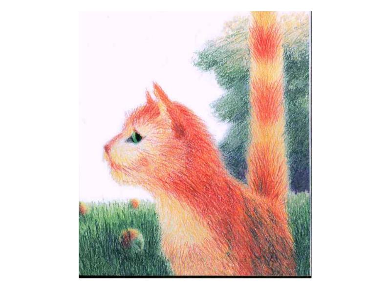 Презентация кот ворюга паустовский 3 класс. Кот ворюга. Иллюстрация к рассказу кот ворюга. Кот ворюга рисунок. Портрет кота ворюги.