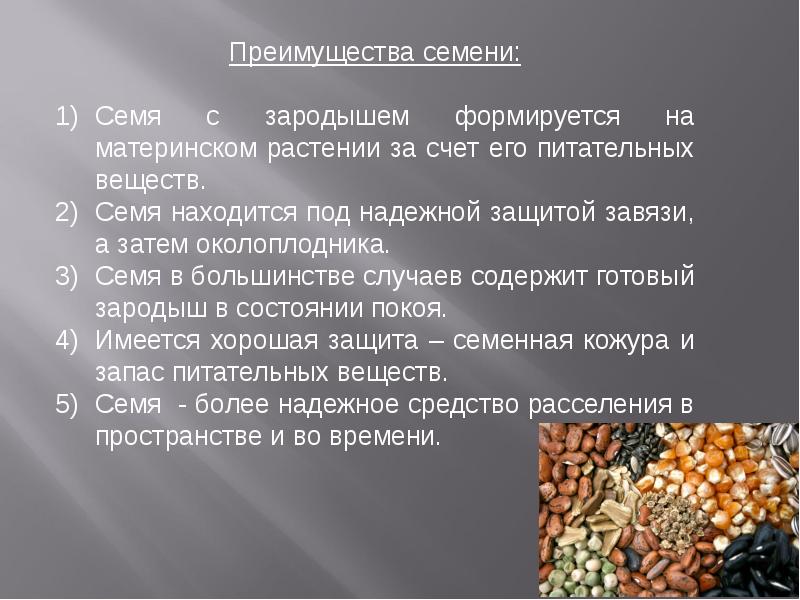 Запас веществ в семени находится в. Преимущества семени. Презентация семеноводство. Сообщение о семенах. Преимущества семенных растений.