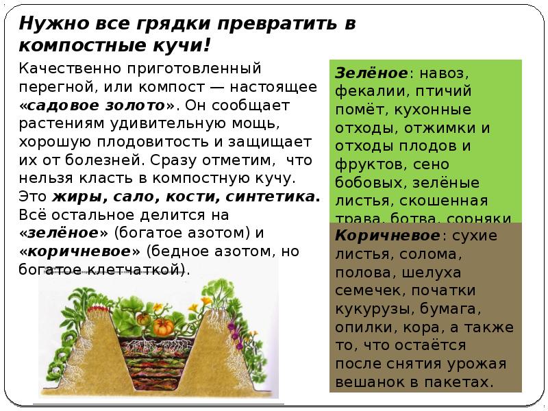 Что такое выращивание овощных культур