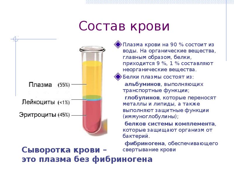 В состав плазмы входит. Что такое плазма крови? Состав плазмы.. Плазменный состав крови. Плазма крови краткая характеристика. Состав кровяной плазмы.