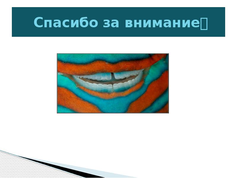 Индексы гигиены полости рта в стоматологии презентация