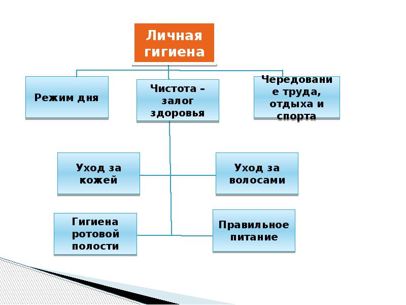 Личная гигиена работников общественного питания презентация