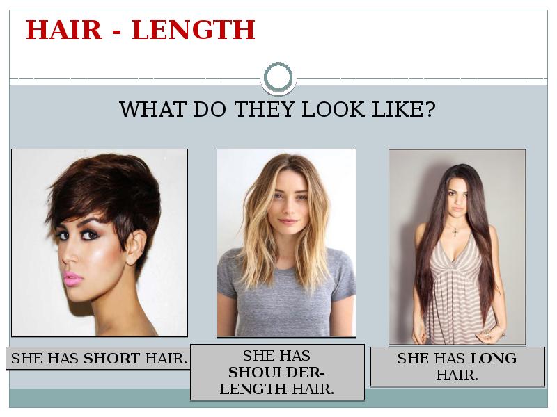 She has hair. Hair length. Types of hair length. Волосы синоним. Shoulder-length картинки.