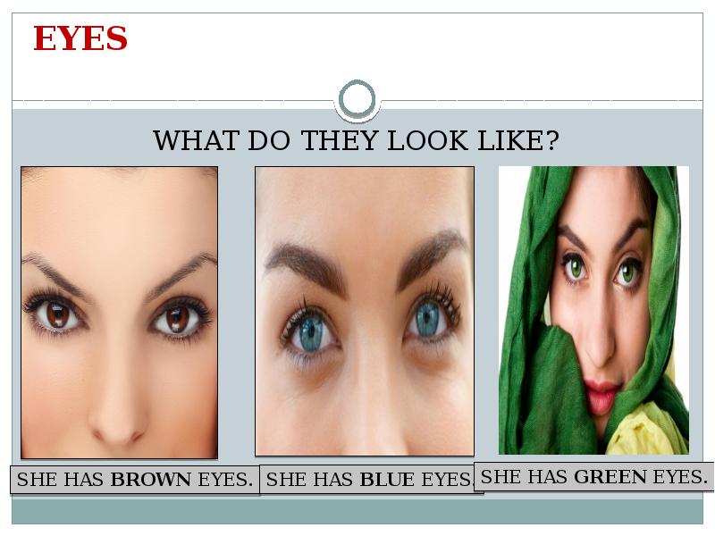 Eyes do it what is it. Appearance eyes. physical appearance eyes.