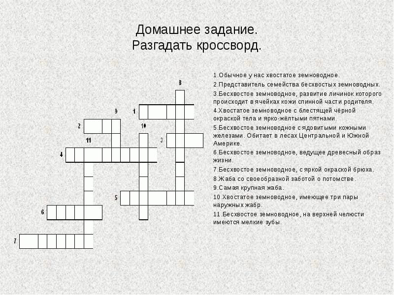 Кроссворд на тему пресмыкающиеся. Кроссворд на тему земноводные. Кроссворд на тему земноводные и амфибии. Кроссворд на тему земноводных. Кроссворд по классу земноводные.