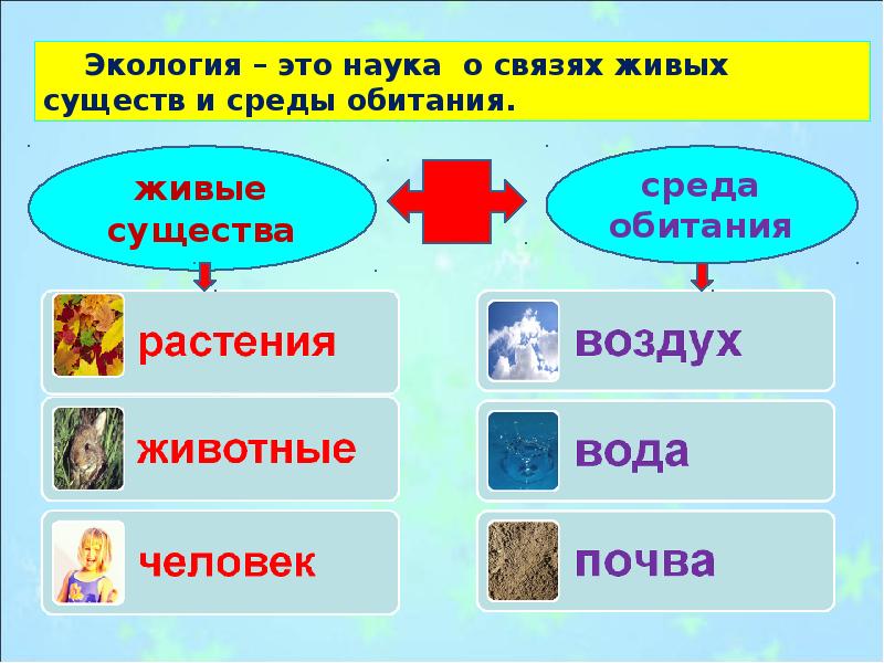 Экология презентация 2 класс