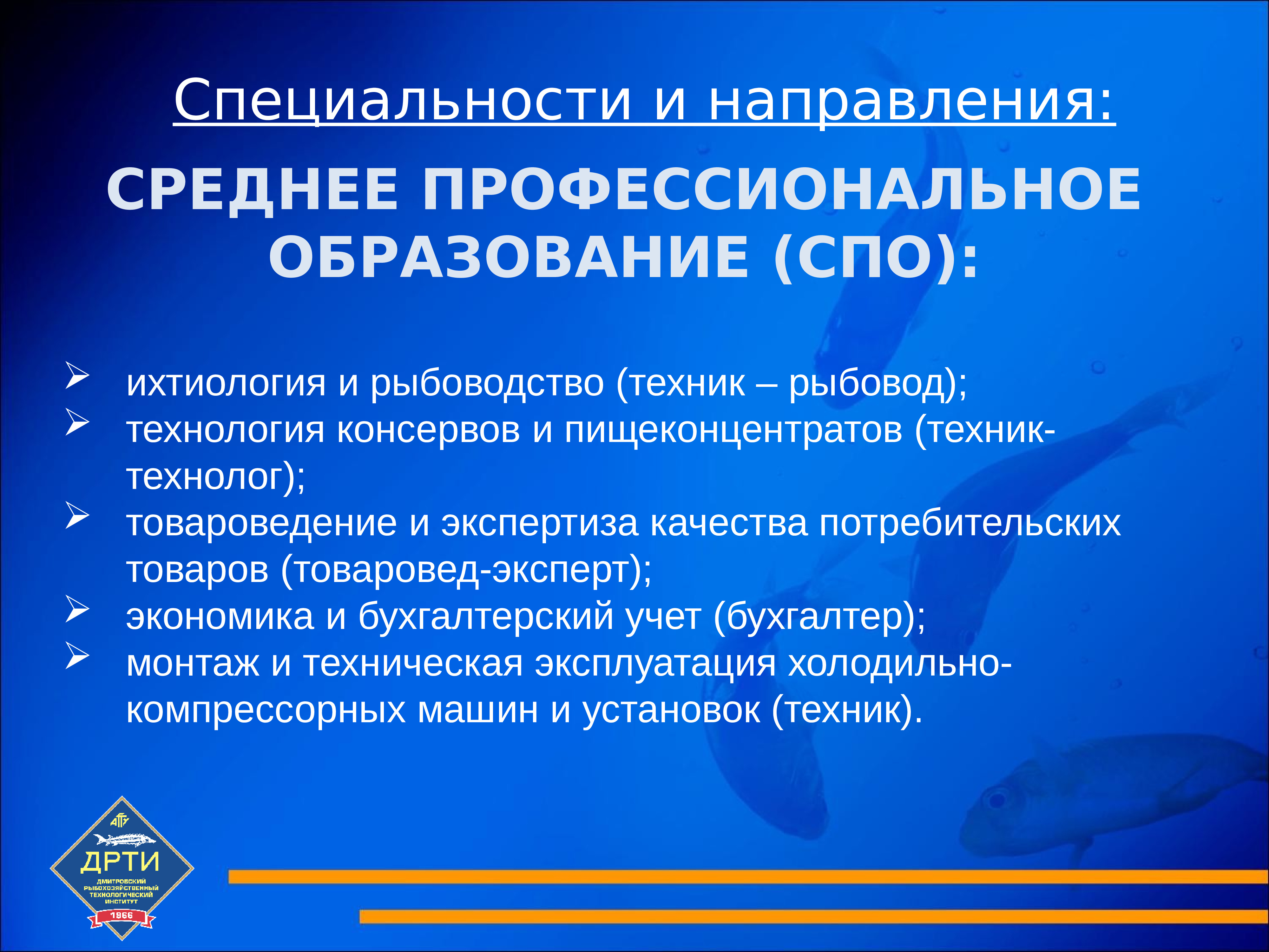 Среднее направление. Направление СПО это. Направления среднего профессионального образования.