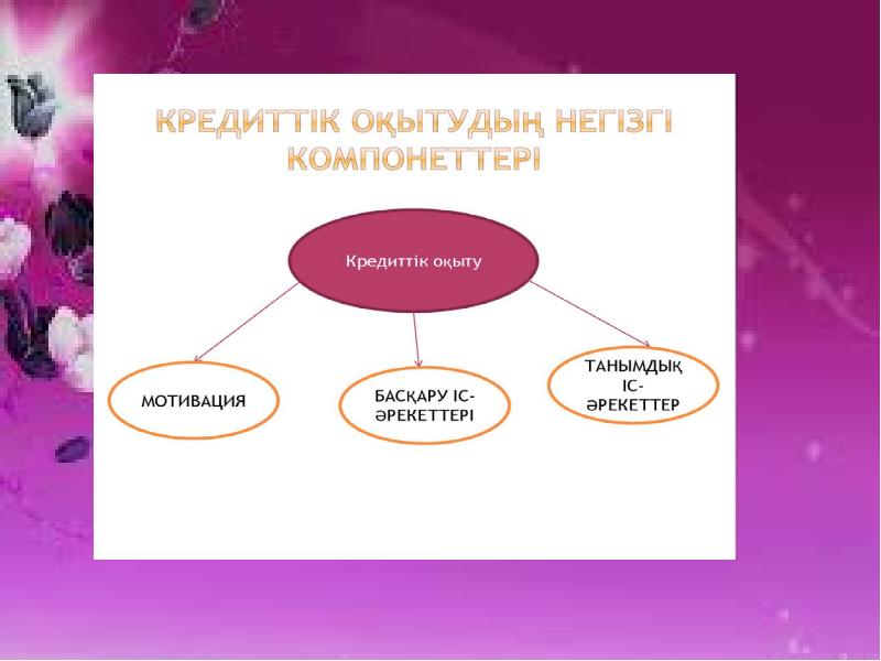 Презентация оқыту принциптері