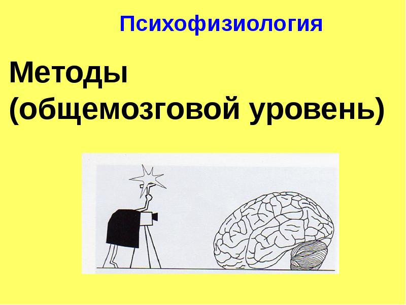 Психофизиология умственного труда презентация