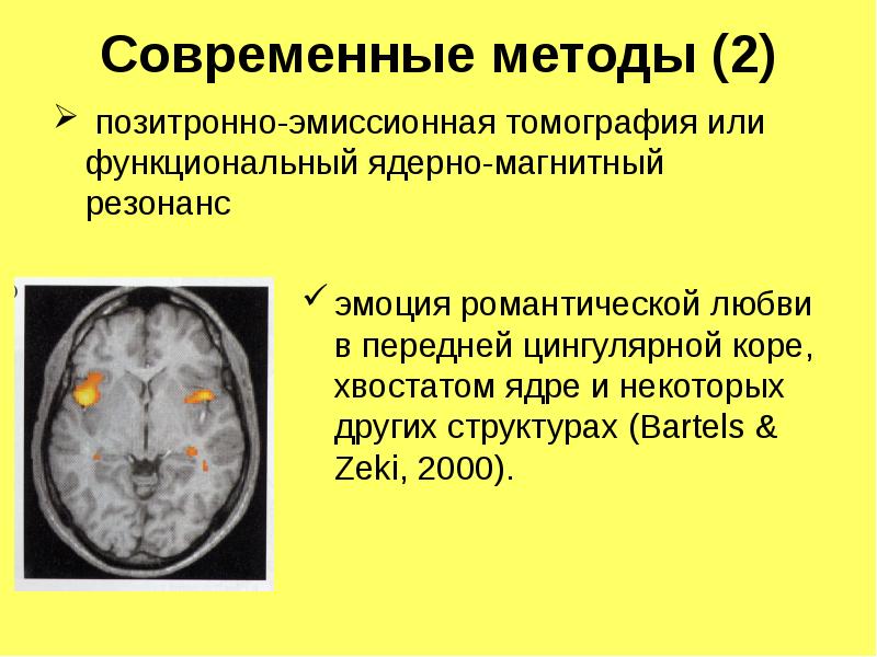 Общемозговые изменения регуляторного характера
