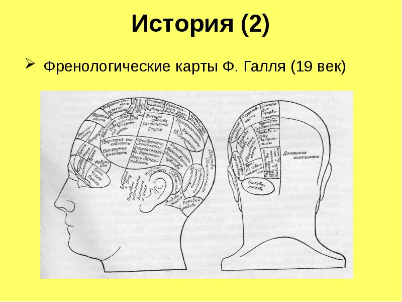 Френологическая карта галля